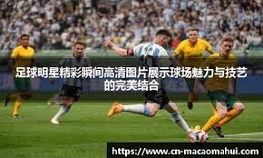 找到